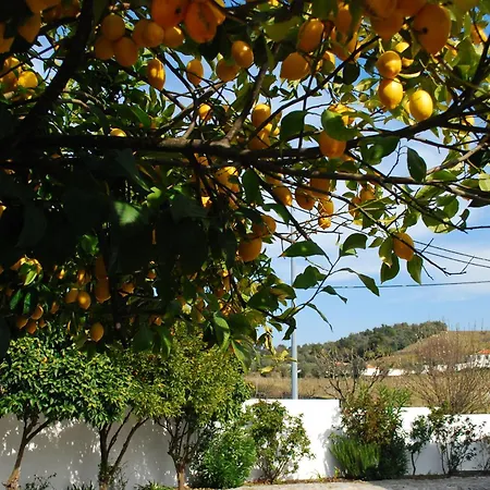 Casa Relogio De Sol