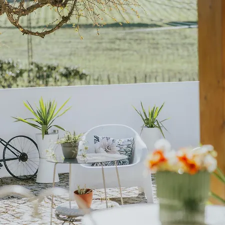 Farm stay Casa Relogio De Sol Lamego