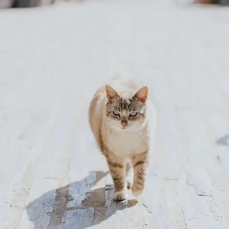 卡萨乐洛基代索勒酒店