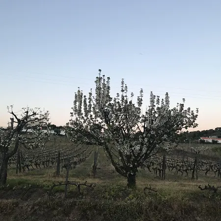 Casa Relogio De Sol Gospodarstwo agroturystyczne Lamego