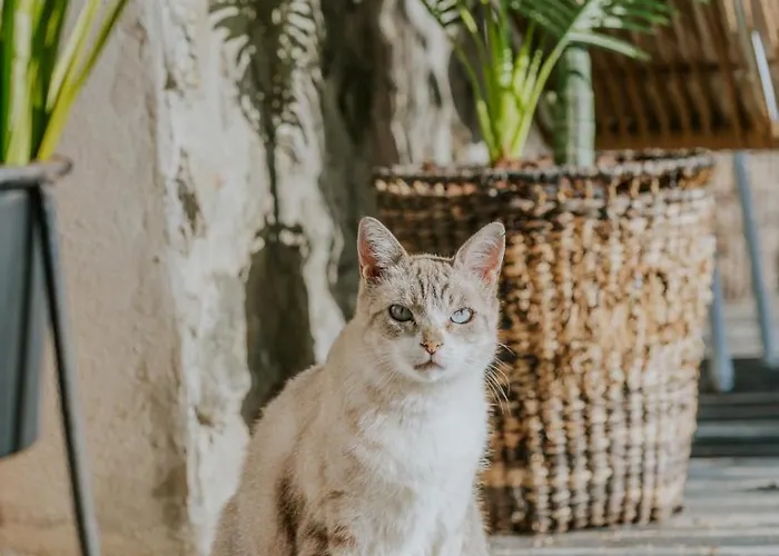 Séjour à la ferme Casa Relogio De Sol Lamego